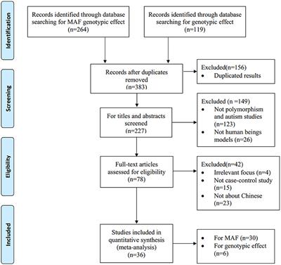 Association Between MTHFR C677T Polymorphism and Susceptibility to Autism Spectrum Disorders: A Meta-Analysis in Chinese Han Population